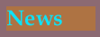News.gif